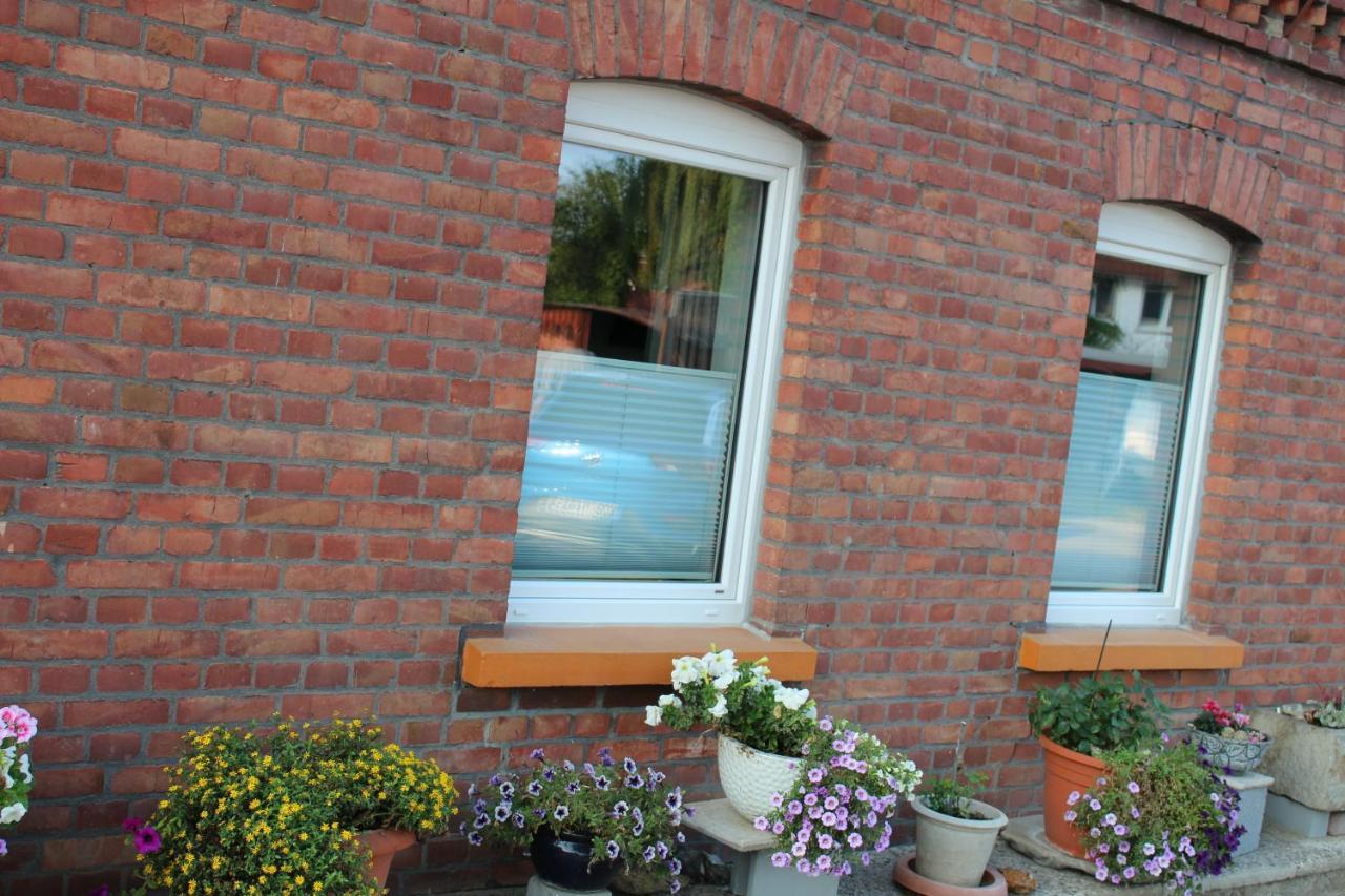 Apartment Hanske Isenbüttel Eksteriør bilde